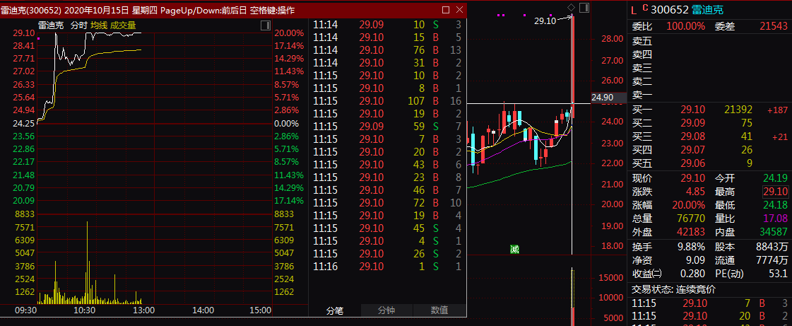 雷迪克披露向特定对象发行股票预案.