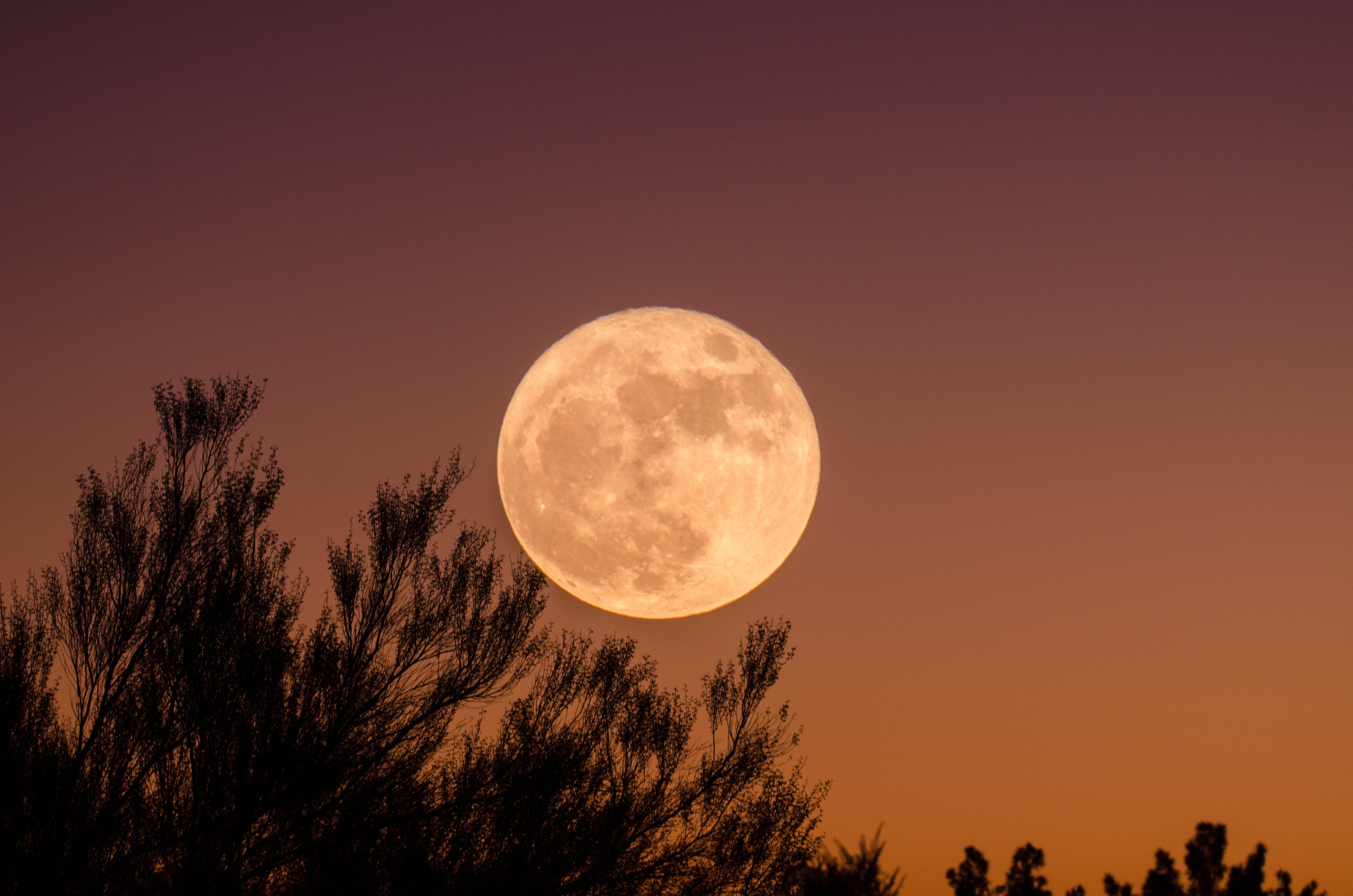 你拍的好看中秋月亮最好的照片有哪些