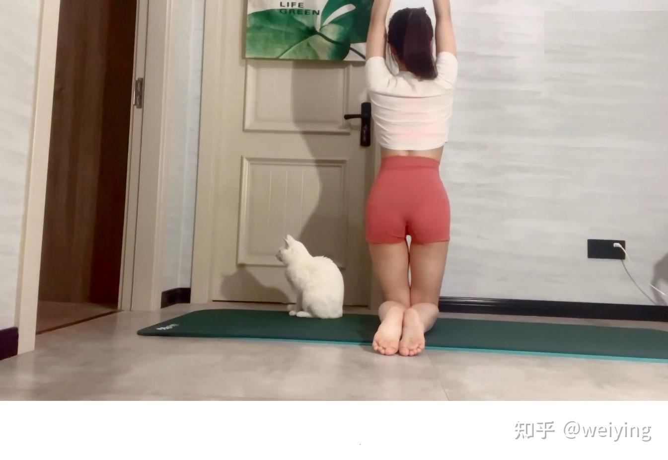 正在练瑜伽的美女27