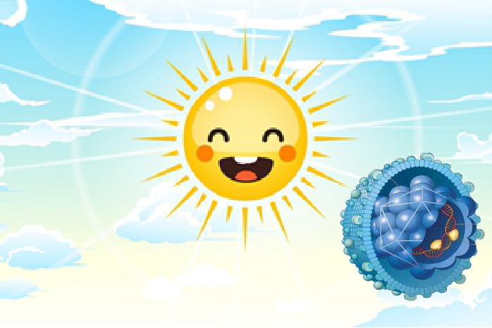 天气转暖,晒太阳可以杀死新型冠状病毒吗?