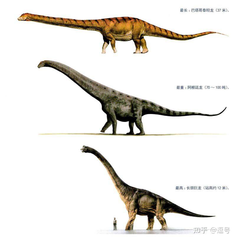 在中生代最大的蜥脚类恐龙是什么