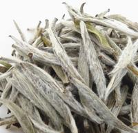 白毫银针是什么茶 zhuanlan.zhihu.com