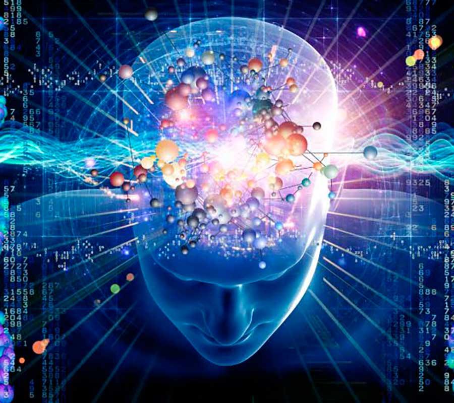 未来想从事认知神经科学研究,学什么专业?