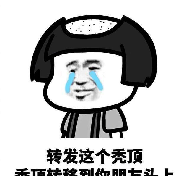 项目经理(pm):我头发呢?