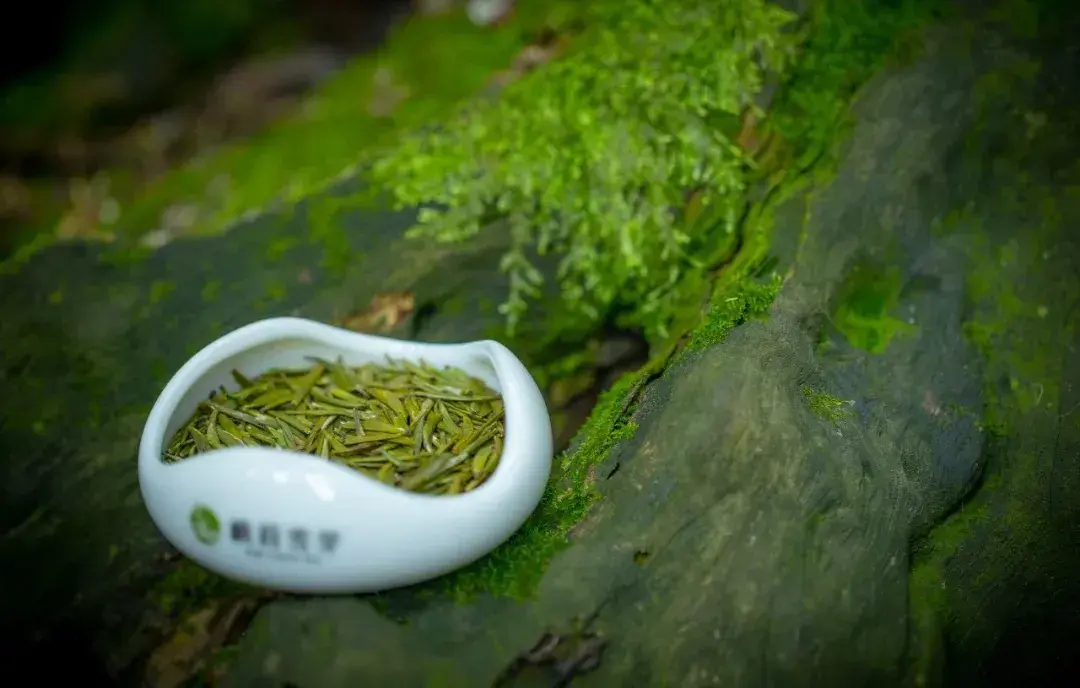 乐山全国首批峨眉山茶入选中欧地理标志协定保护名录