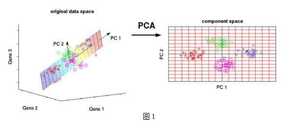 从线性代数几何角度看降维上主成分分析pca应用于降维