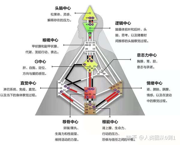 人类图九大能量中心之情绪中心