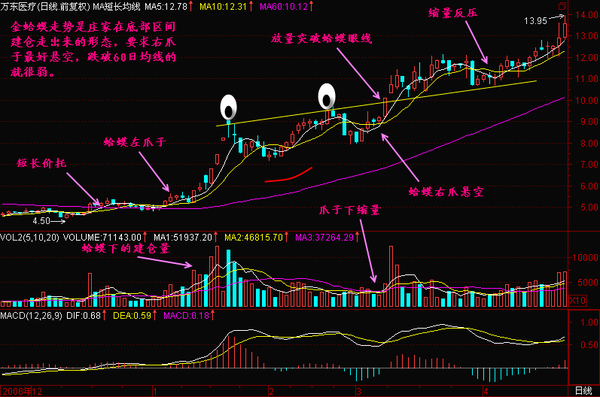 股票技术系统学习-金蛤蟆