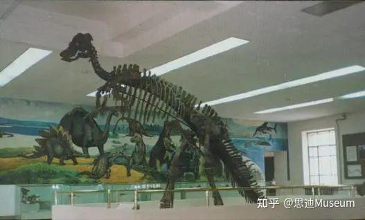 黑龙江满洲龙