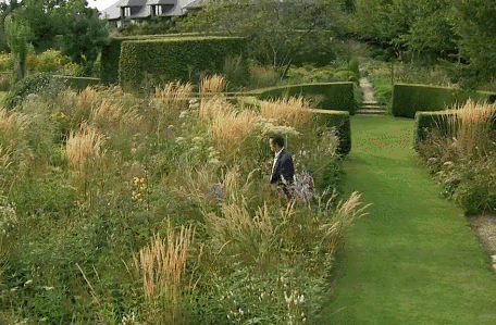 456_299 gif 动态图 动图