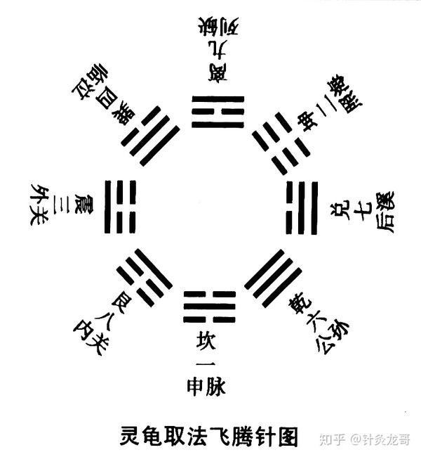 十二正经上的八脉交会穴通于奇经八脉是灵龟八法的基础穴位