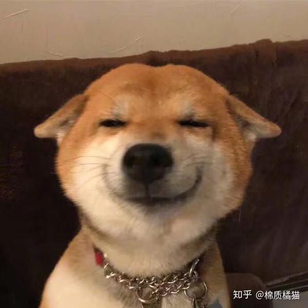 有哪些有意思的社交软件头像?