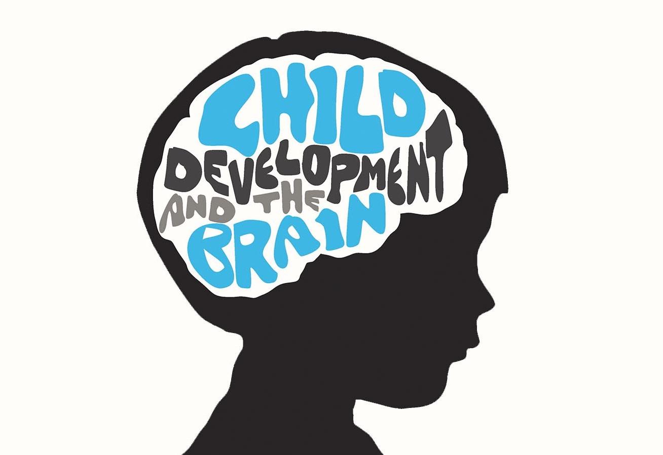 怎么做,才能让儿童大脑更好地发育?