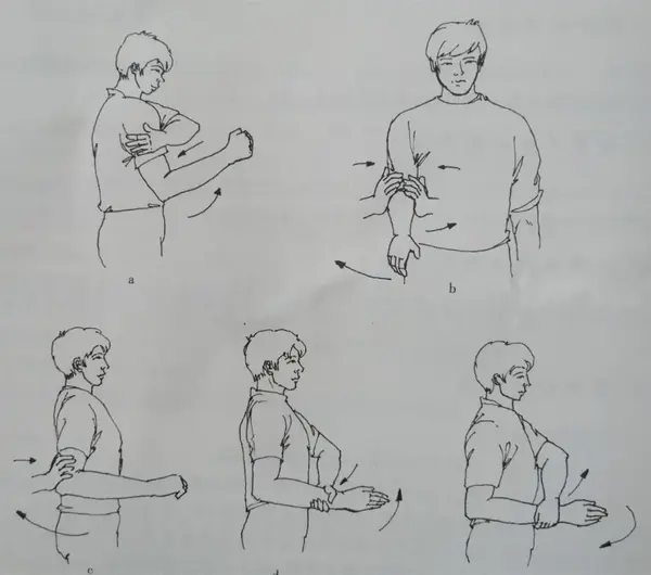 不同角度肩周肌力等长性肌力训练
