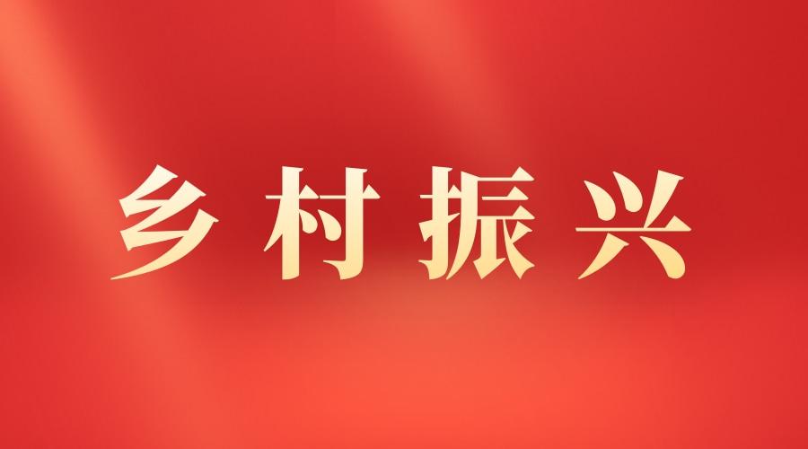 范文x村党支部实施乡村振兴战略经验发言材料