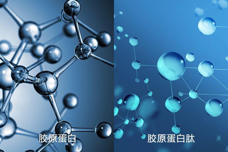 你真的知道胶原蛋白肽的功效与作用吗
