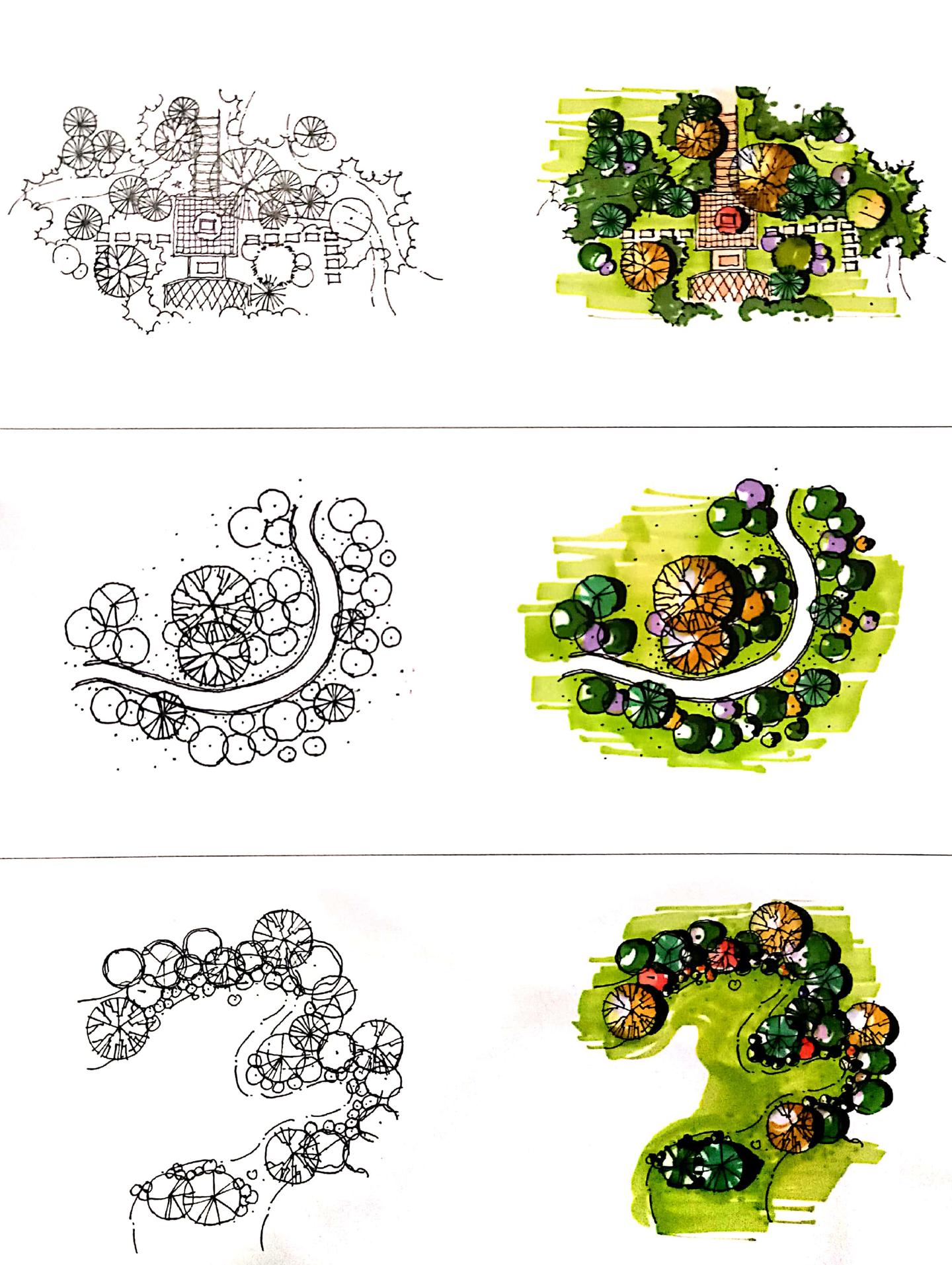 【干货分享】-植物的平面图画法