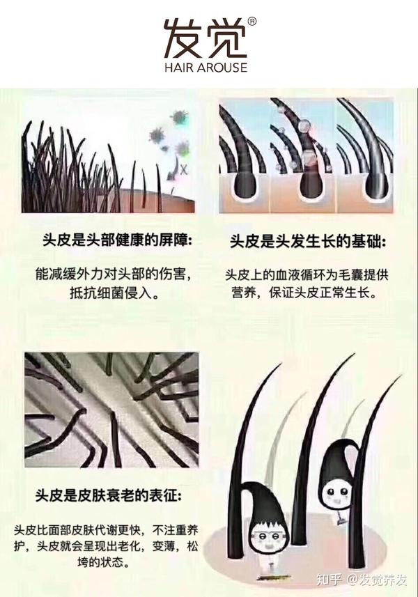 为什么要关注头皮健康