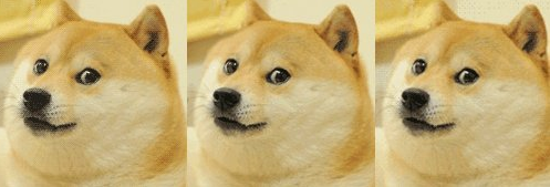 拥有犬系女孩的你,赚大了