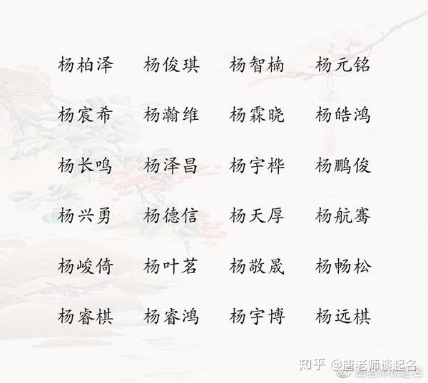杨姓男宝宝取名有气质好听有寓意的男孩名字