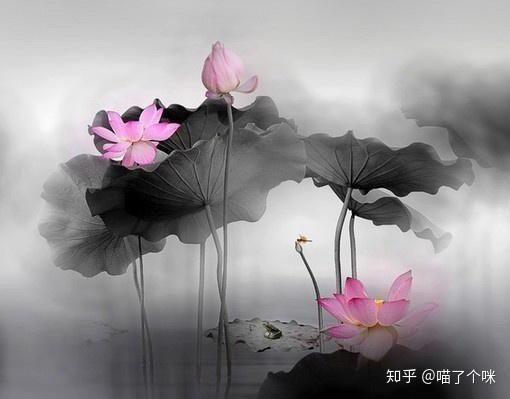 佛教语录,修心养性