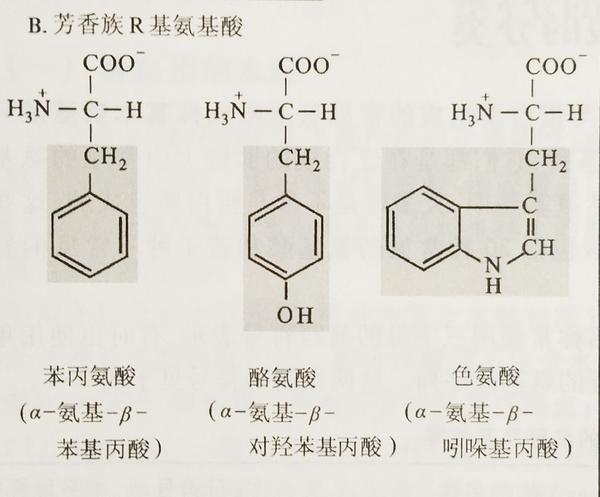 有什么化学式适合纹身?