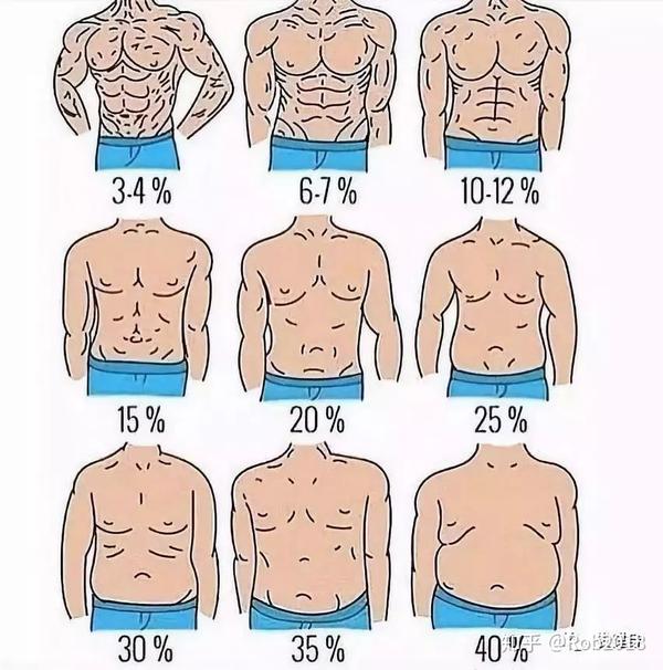 基础腹肌训练 - 知乎