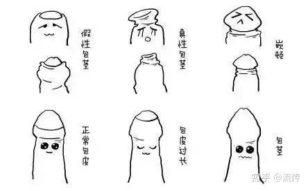 正常包 