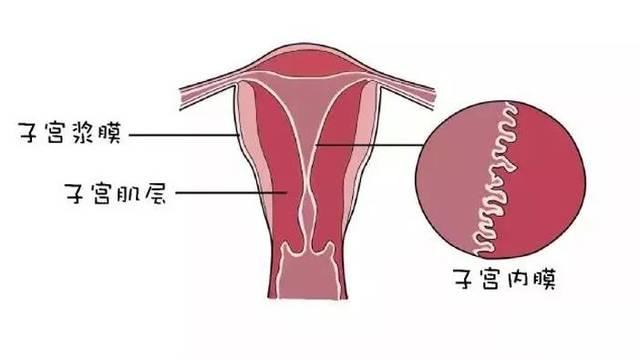 子宫内膜增厚是什么原因?
