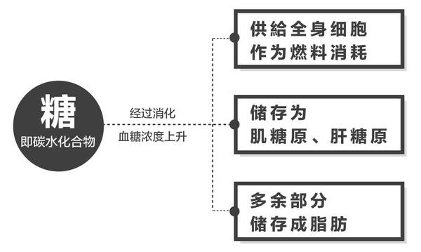 减脂必修课三减肥路上的蒙面杀手碳水化合物