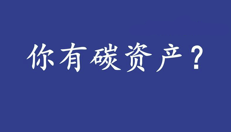 企业如何开展碳从业者如何进入碳资产管理工作