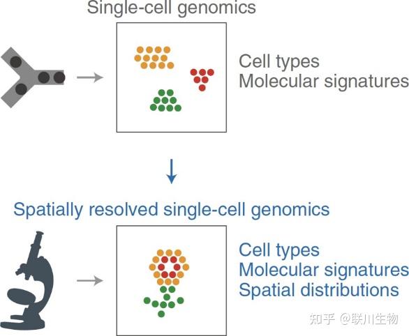 空间转录组技术到底有什么优势如何应用 知乎