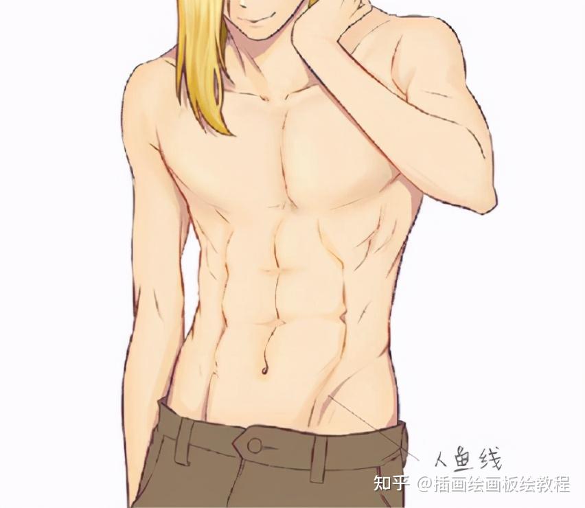 漫画腹肌怎么画教你如何画出健硕的男性腹肌