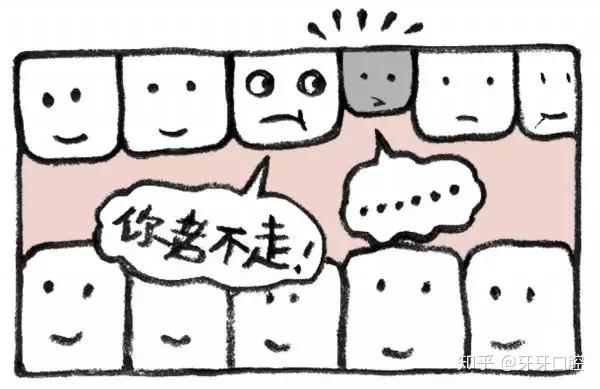 脱落,不久,在此处长出恒中切牙;同时,在第二乳磨牙的后方长出第一磨牙