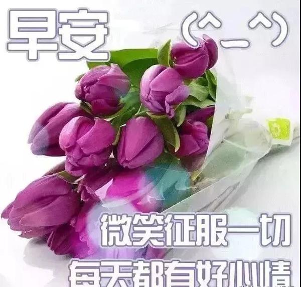 早安问候祝福语图片带字温馨
