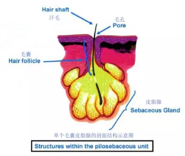 有哪些让你相见恨晚的美容妙招?