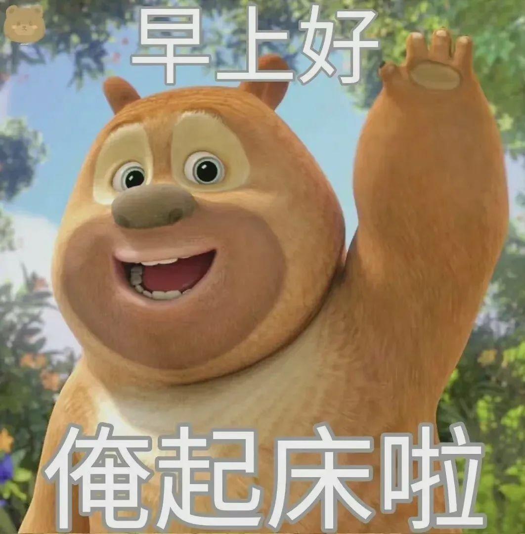 表情包熊出没熊大熊二光头强沙雕系列