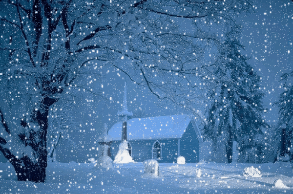 小寒|岁暮天寒 且待新春花开暖