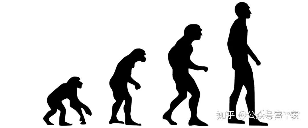猿人在漫长的进化过程中逐渐演变为人类,但进化本身并不是取代,这意味