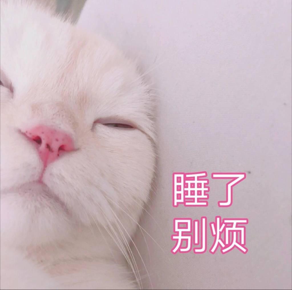 有哪些怼表情的表情?人死人包的伤心图图片