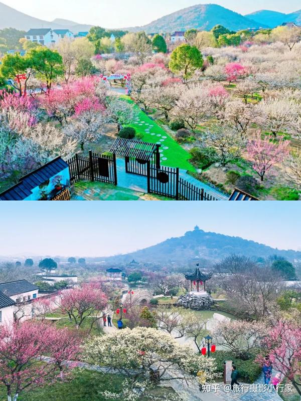 苏州春天旅游赏花踏青景点大全附苏州行李寄存攻略