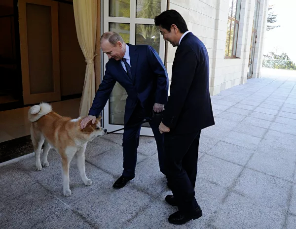普京铁腕总统的柔情大抵是都给了狗狗吧