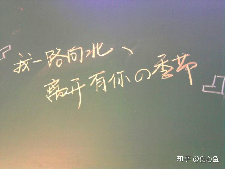 520有哪些适合单身狗的朋友圈文案