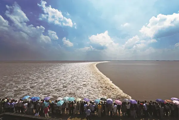 嘉兴海宁潮,嘉兴市委宣传部供图