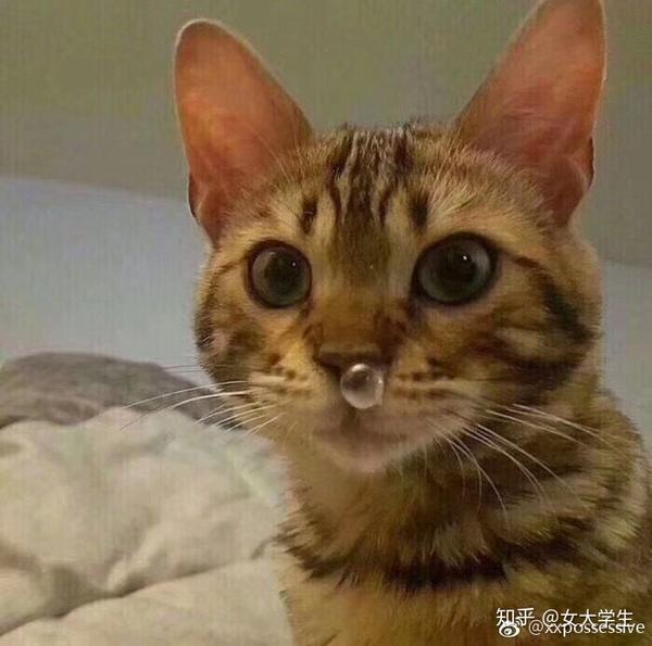我珍藏已久的鼻涕泡情头!