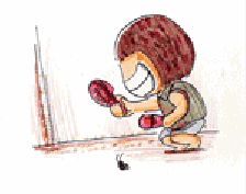 一场关于蟑螂的