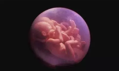 试管婴儿为什么有的胚胎成功着床,有的人失败?
