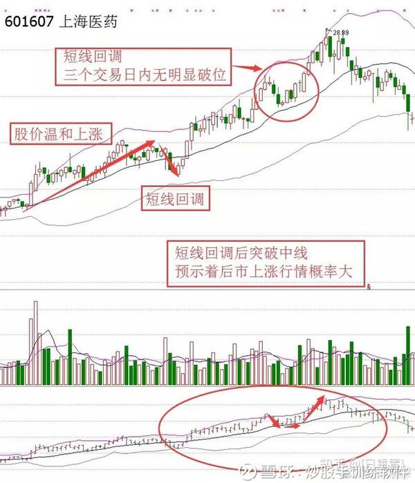 案例:上海医药(601607)