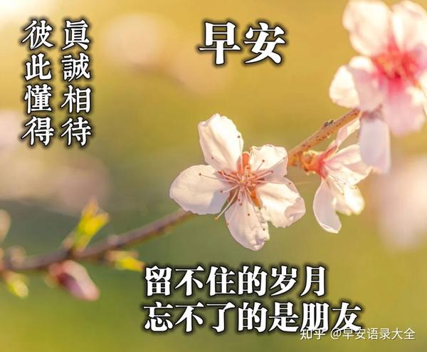 5月23日星期日最新漂亮免打字早上好问候图片 唯美清晨早安问候祝福