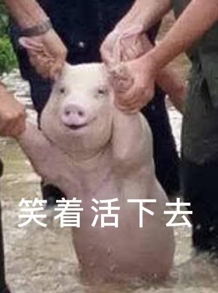 对你的深情,永不变 带你去天涯海角    要学会思考人生.